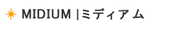 �ߥǥ�����